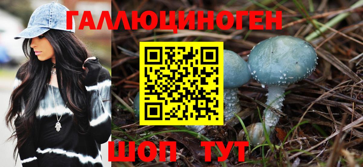 Галлюциногенные грибы Magic Shrooms Москва
